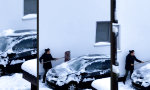 Funny Video : The Frost and the Furie