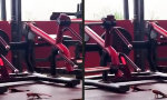 Funny Video - Neues Trainingskonzept: Kaltblütige Coaches