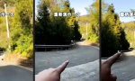 Kurvenreiches Leben