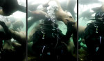 Underwater Love