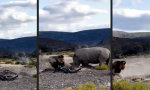 Funny Video : Wenn die Mädels daneben stehen