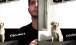 Lustiges Video : Kannst du mich endlich mal alleine lassen?!