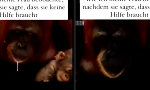 Lustiges Video - Beziehungen, in denen man einfach machen lässt