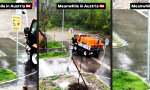Lustiges Video : Nach Vorschrift bewässert