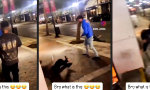 Lustiges Video : Street Fight Slapstick