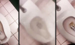 Funny Video : Der Bierphysiker und sein feuchter Durchbruch