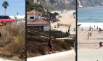 Lustiges Video : Dramatischer Auftakt zur Schwimmpartie