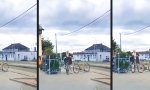 Funny Video : Die Rache des Dschungels