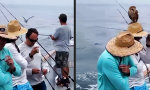 Movie : Zwischenstopp auf hoher See
