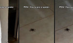 Lustiges Video - Jumpscare in die andere Richtung