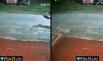 Funny Video - 5:33 Uhr. Irgendwas ist ausgebrochen.