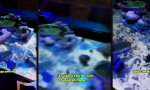 Funny Video - Wenn der Dungeon Master den Raum mitspielt
