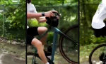 Funny Video : Die Hecke nimmt jeden