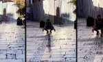 Funny Video : Streicheltermine nach Fahrplan