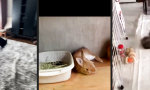 Funny Video - Osterhasen privat