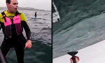 Lustiges Video : Unter dem Brett wartet die Geduld