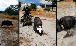 Movie : Rom, Zweigstelle Feldweg