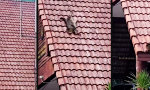 Treppen sind für Anfänger