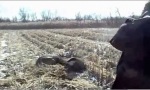 Lustiges Video : Helfender Scharfschütze