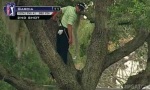 Rückwärts-Golfschlag Vom Baum