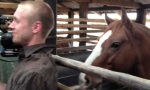 Movie : Interview With A Horse