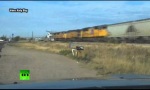 Funny Video - Holy Smokes!