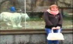 Movie : Tiger im Nacken