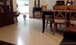 Lustiges Video : Der gekonnte Sprung aufs Sofa
